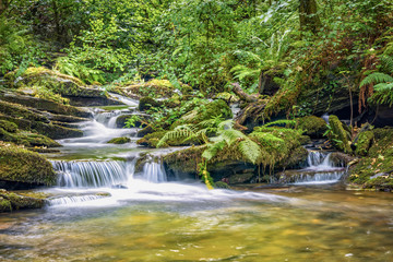 Naklejka premium River Trevillet running through St Nectan's Glen. Cascade of small waterfalls.