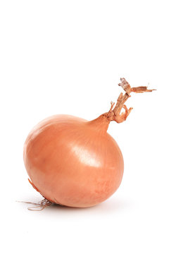 oignon