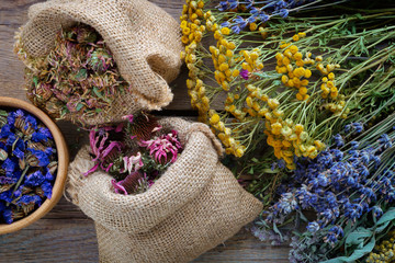Medicinal herbs, wooden mortar and two bags of dry healthy flowers