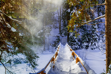 Snowbound bridge in spruce forest