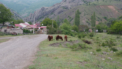 rural landscape, mountainous village Zelenogorie, Crimea  