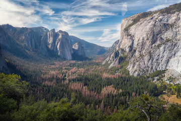 View of the valley of Yosemite National Park, USA