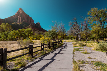 Walking path in the Zion National Park at sunny day, USA