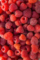 Close up of the ripe raspberry as background.