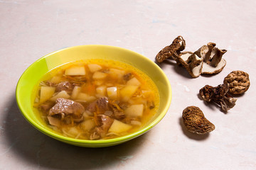 Composition with mushroom soup in green plate, dried wild mushro