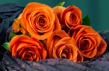 Bouquet orange roses, abstract