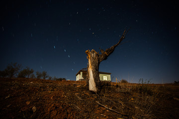 Fototapeta premium A tent in the woods under a star filled sky.