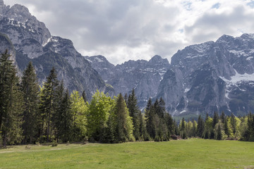 Fototapeta na wymiar Seiseratal, Julische Alpen