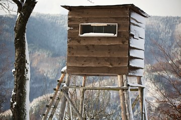 Winter Landscape, Wildlife, hunters high stand. Permanent wildlife photo hide.