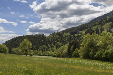 Fototapeta na wymiar Landschaft bei Stockenboi, Kaernten