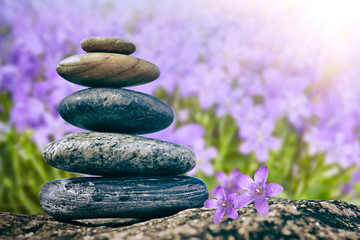 Obraz na płótnie Canvas Zen Balancing Pebbles on flower background