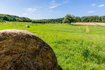 Cultivated Landscape with round bales - 135312594