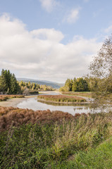 Le Sentier, Lac de Joux, See, Schilf, Vall&eacute;e de Joux, Waadt, Jura, Seeufer, Holzsteg, Herbst, Schweiz
