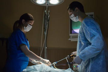 vets doing surgery in the clinic.