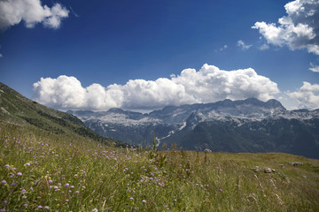 Auf den Montasch - Almen