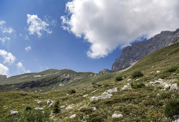 Auf den Montasch - Almen