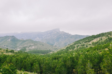 Fototapeta na wymiar Misty morning, Terres de l'Ebre, Catalonia, Spain