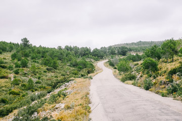 Backcountry road, Terres de l'Ebre, Catalonia, Spain