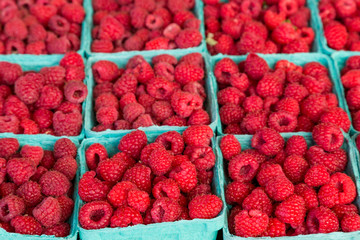 Fresh Red Rasberries in Baskets