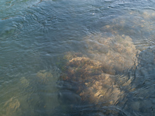 Water of a river, useful as nature background for many things and themes