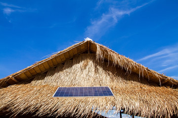 Solar panels on the roof thatched with dry leaf.Global ecology.C