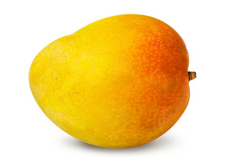 Yellow mango