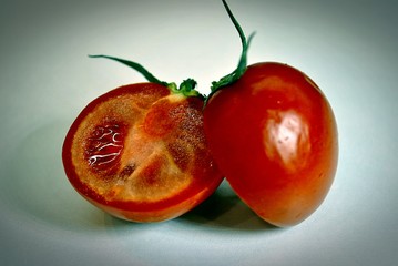Tomato /sliced tomato - 135319747