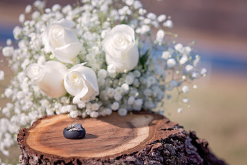 Wedding and engagement rings on wooden stump with white roses