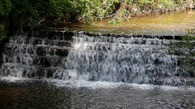 Artesian Artificially Beautiful Water Source in Eshkol National Park, Negev