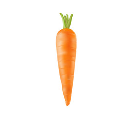 fresh carrot on white background