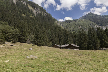 Im Seebachtal, Hohe Tauern