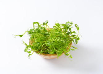 green pea sprouts