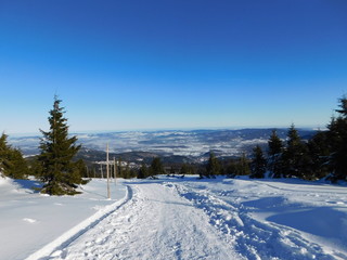 Road covered with snow in Karkonoski National Park