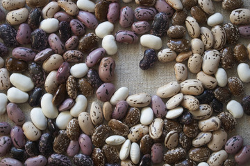 beans of different varieties
