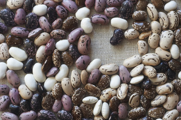 beans of different varieties
