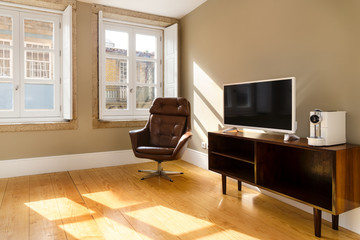 Scandinavian Living Room