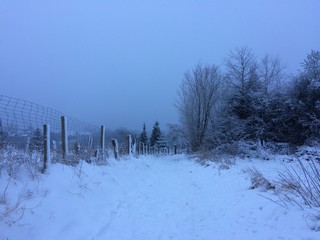 Winterlandschaft am Stadtrand
