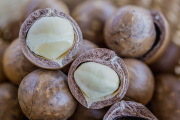 Close up pile ripe macadamia nut