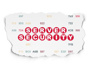 Security concept: Server Security on Torn Paper background