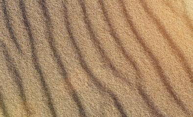 Fototapeta na wymiar Beach sand patterns in warm evening sunlight