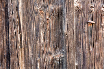 Wood panel background
