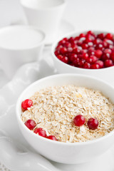 Rolled oats, porridge and cranberries for a healthy breakfast in a rustic style