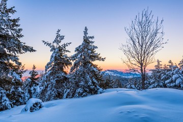 Snowy slope of a mountain with some snowy trees and view of the mountains in sunset