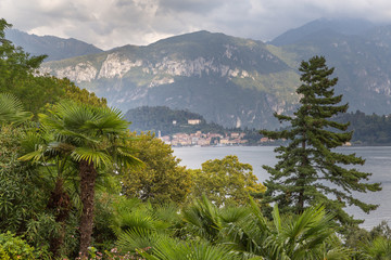 Fototapeta na wymiar View of the trees fom the hillside opposite Bellagio on Lake Co