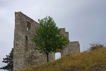 Fototapeta na wymiar wall standing as a remnant of the medieval castle ruins