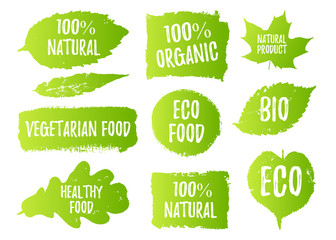 Vector natural, organic food, bio, eco labels and shapes on white background. Hand drawn stains, leaves set.