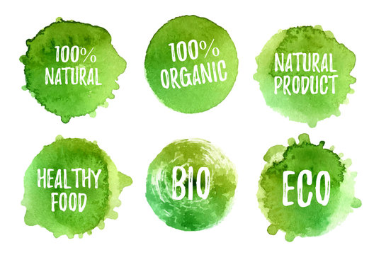 Vector natural, organic food, bio, eco labels and shapes on white background. Hand drawn stains set.