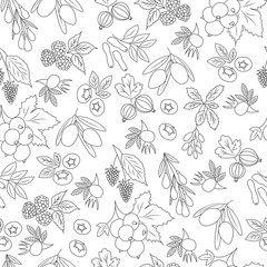 Seamless Pattern with berries