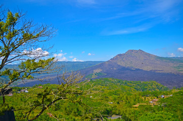 Volcano forest tropical trees leaves Indonesia mountains rocks lake upland plants