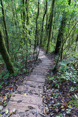 Kew Mae Pan View in Doi Inthanon Natural Park, Thailand